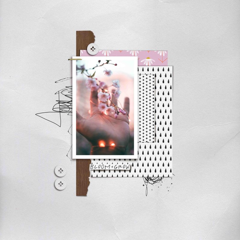 Lilypad 2023 03 Style