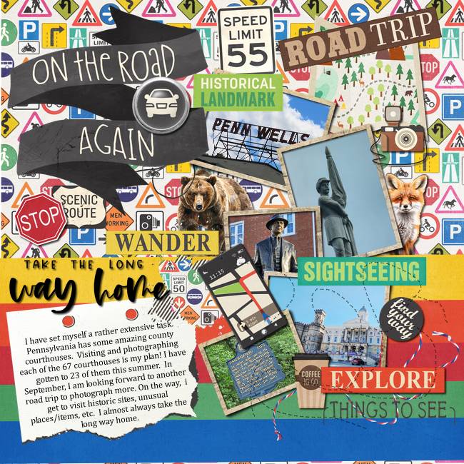 Lilypad Challenges - 2024 07 Journal Chall Look Forward