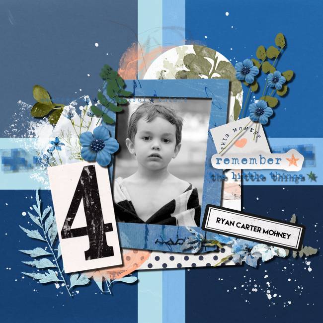 Lilypad Challenges - Web 2024 08 Featured Product RJ Challenge