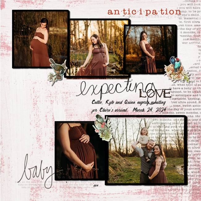 Lilypad Challenges - Web 2024 08 Scraplift Challenge