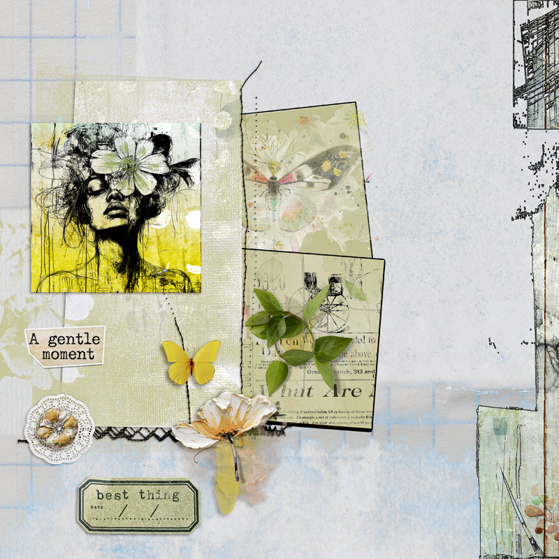 Lilypad-Sketch-Challenge-_-iNSD-2025-copy