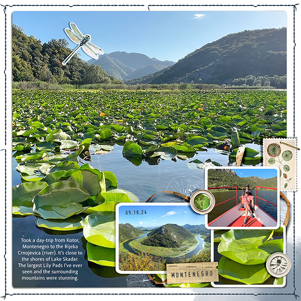 Lilypad