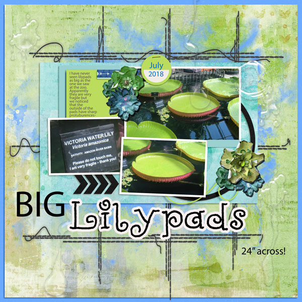 Lilypads for the Lilypad