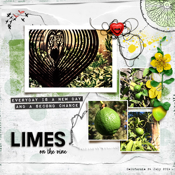 Limes on the Vine