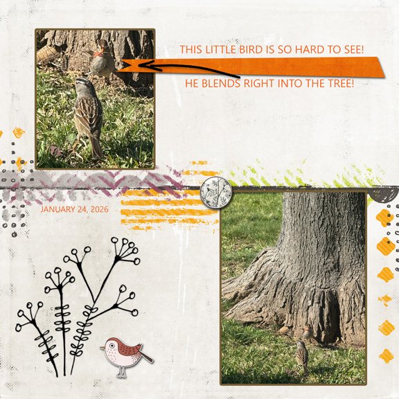 Little Bird 8x8 72.jpg