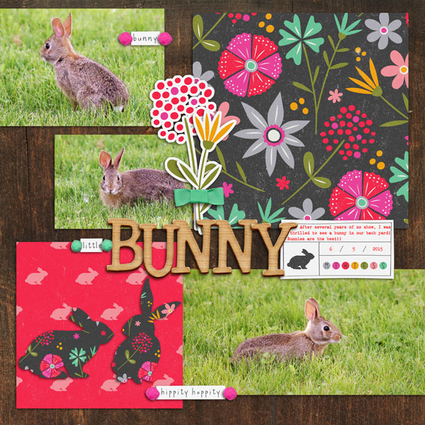 Little Bunny