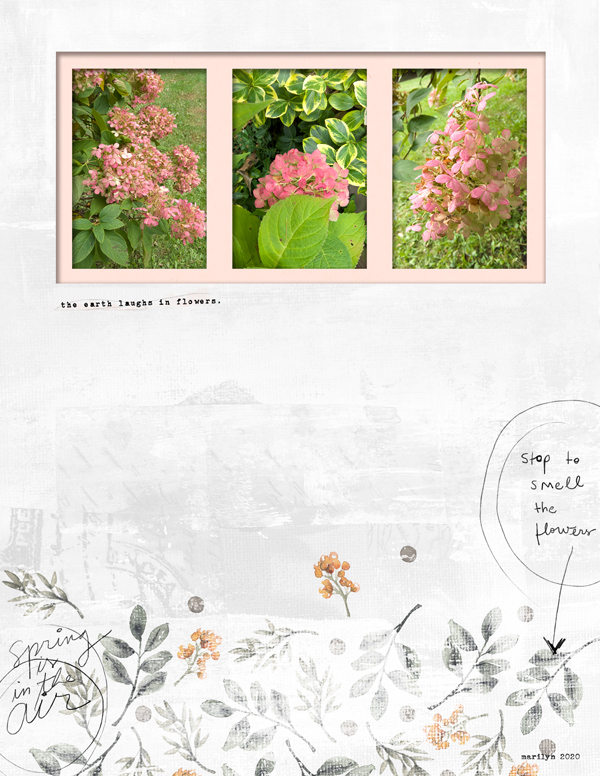 Little-Butterfly-Wings_2020-04_April_SOSN_0422_Blossom_web
