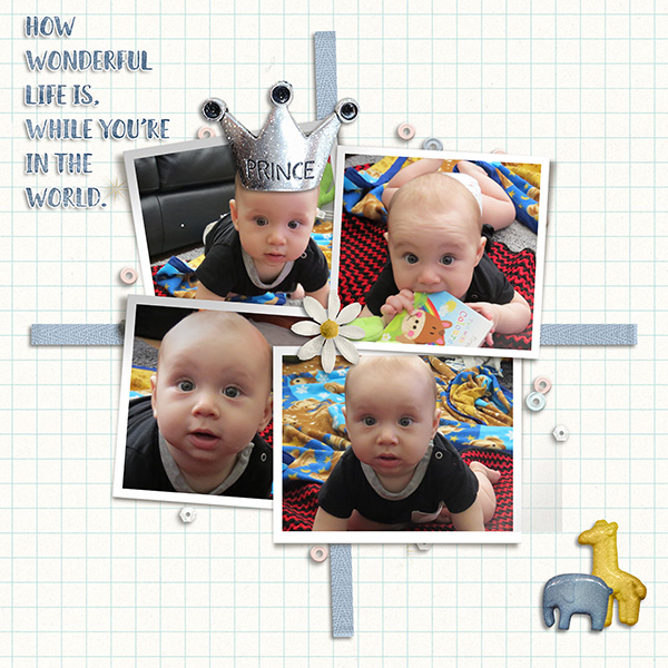 Little Prince Copy