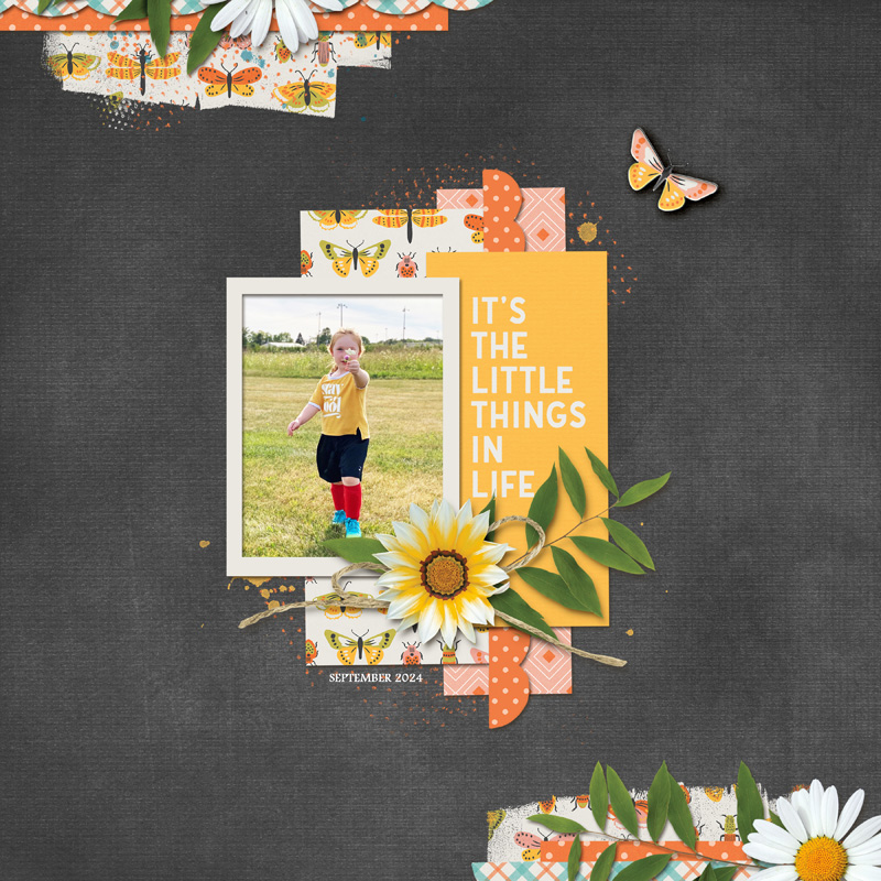 Little Things