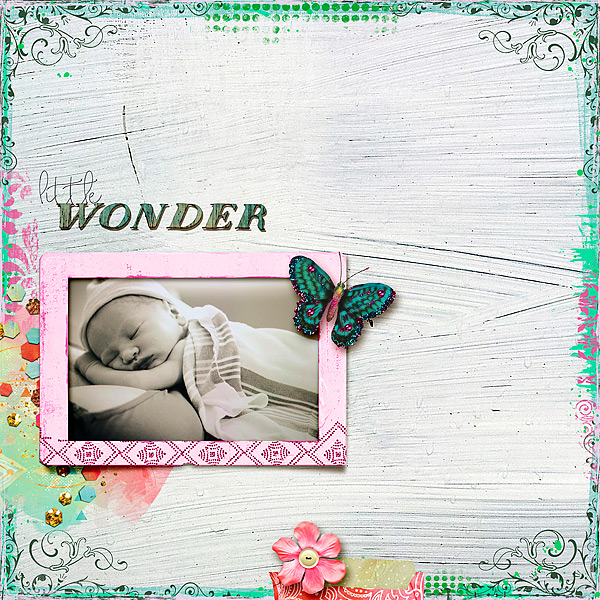Little Wonder