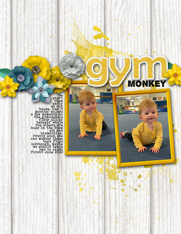 Littlest Gym Monkey