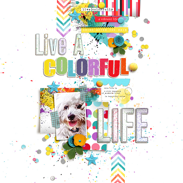 Live A Colorful Life