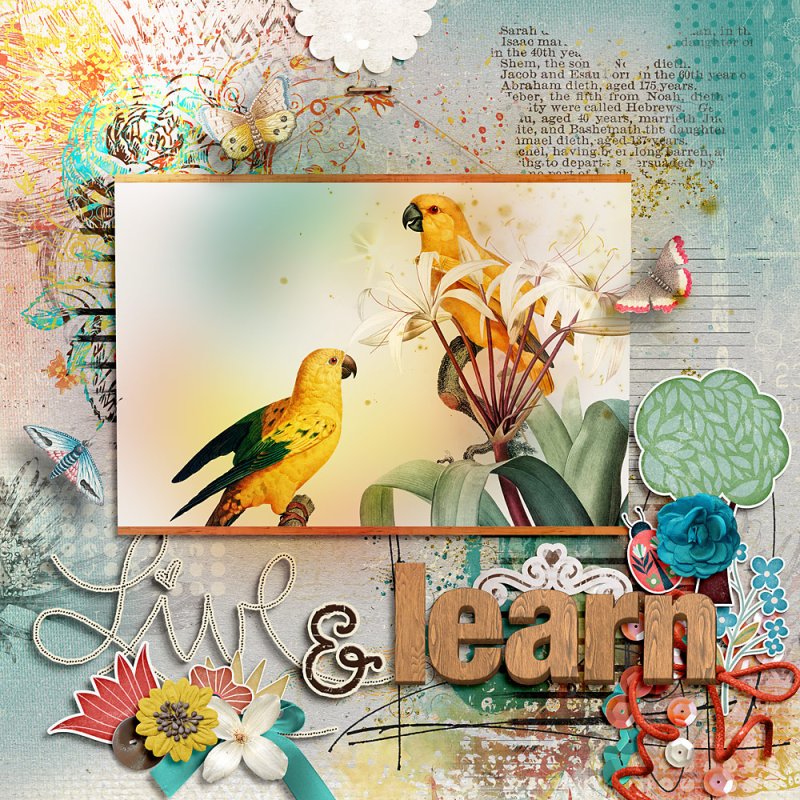 Live & Learn