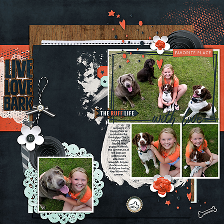 Live Love Bark