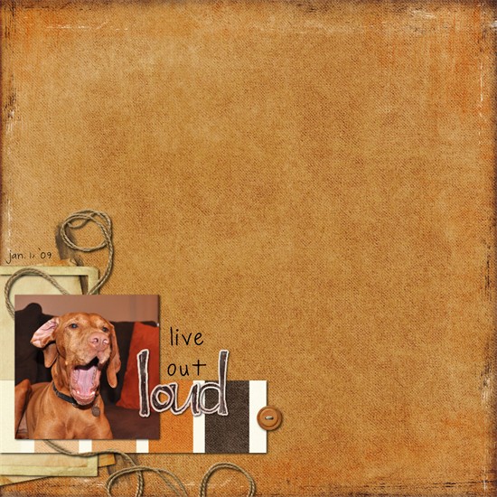 live out loud