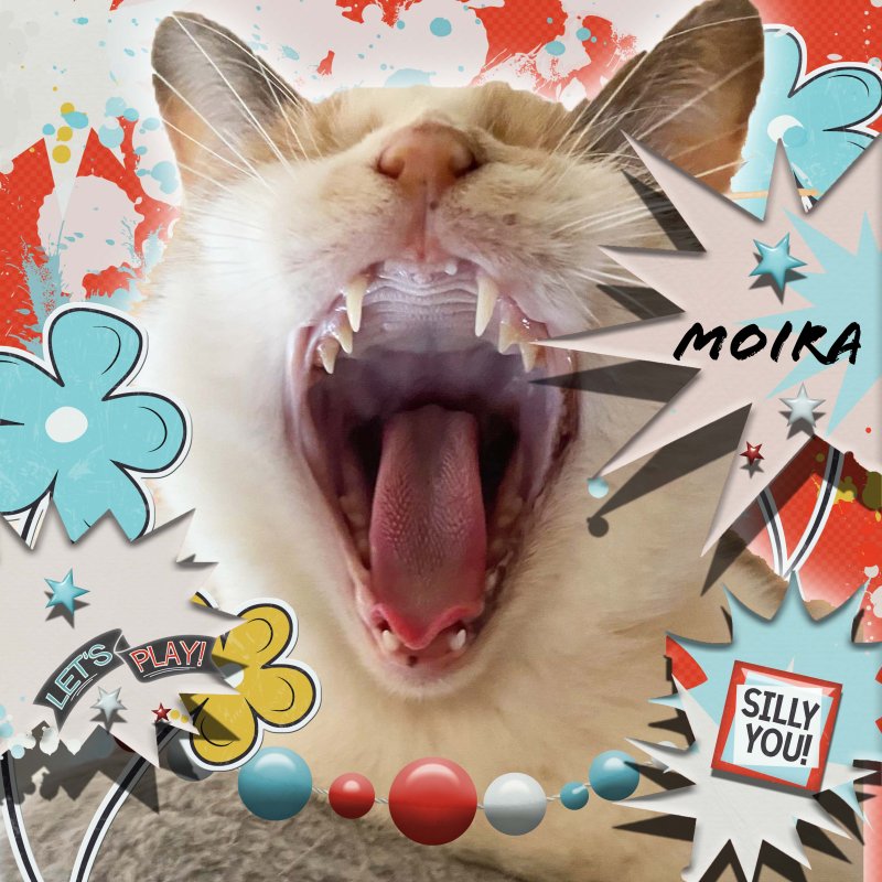 LOD Forever Joy Funtastical Moira Cat