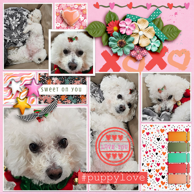 LOD25_mar12_NnJ_#puppylove