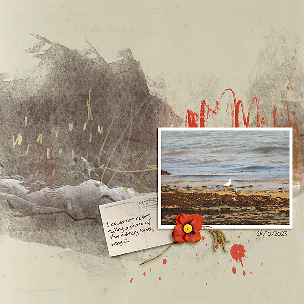 LOD_LiLi Wee_Solitary Seagull