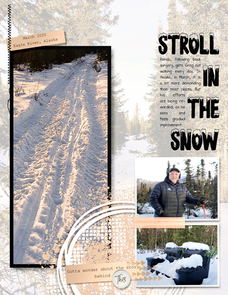 LOD_Mommyish_Stroll-in-the-Snow_Alaska