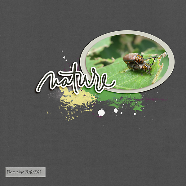 LOD_One-LIttle-Bird_Nature