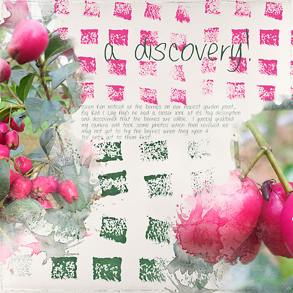 LOD_RebeccaMcMeen_A-Discovery
