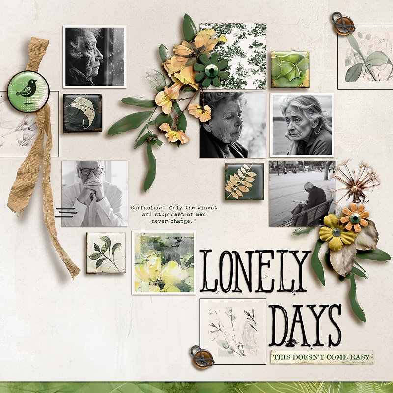 Lonely Days