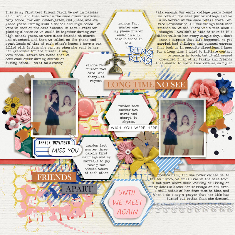 Long Time No See [MOC12 January 14: Friendships (Journaling Challenge)]