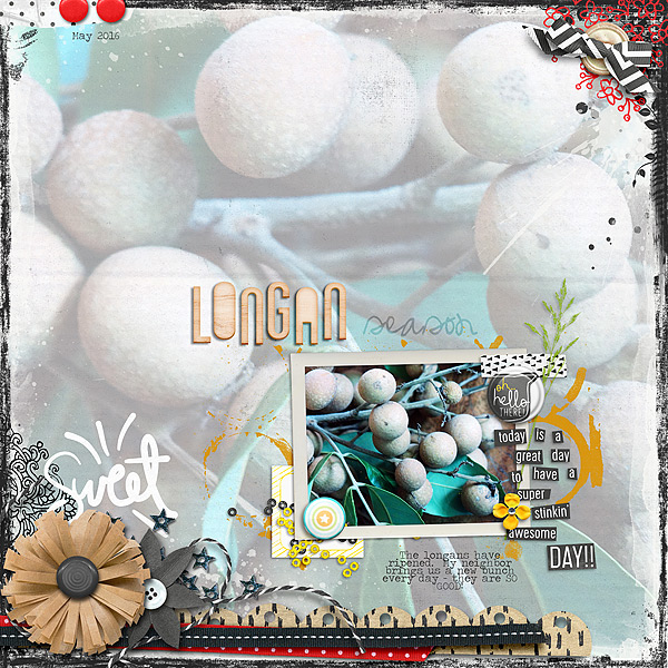 Longan Season