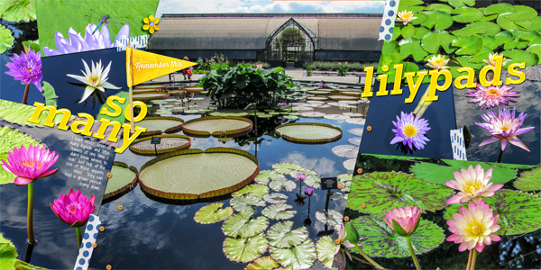 Longwood Gardens2 - So Many Lilypads
