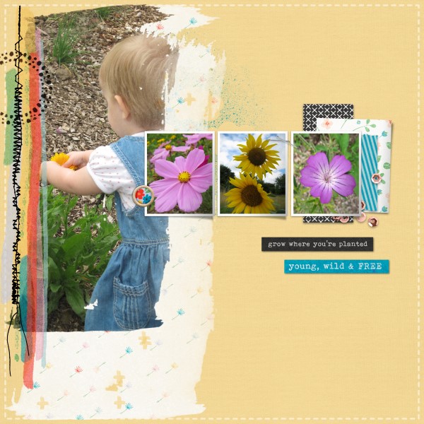 Looking at Flowers