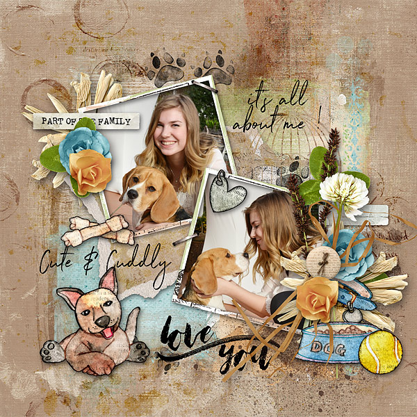 Lovable Pets
