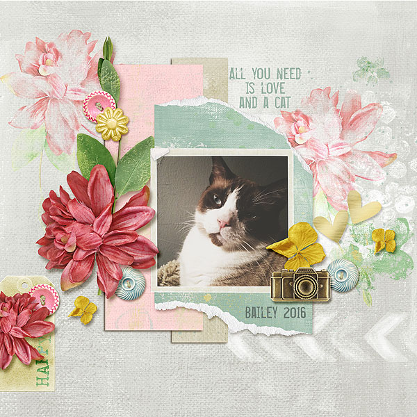 Love and a Cat