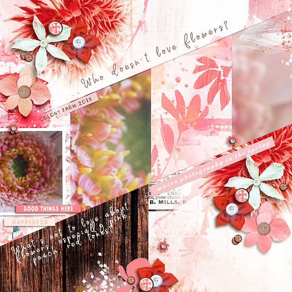 Love Flowers