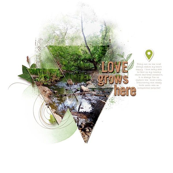 Love Grows Here