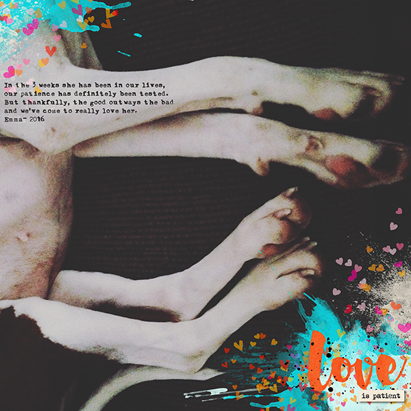 Love Is Patient