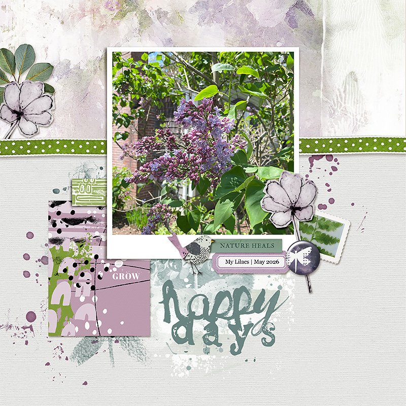 Love-Lilacs.jpg