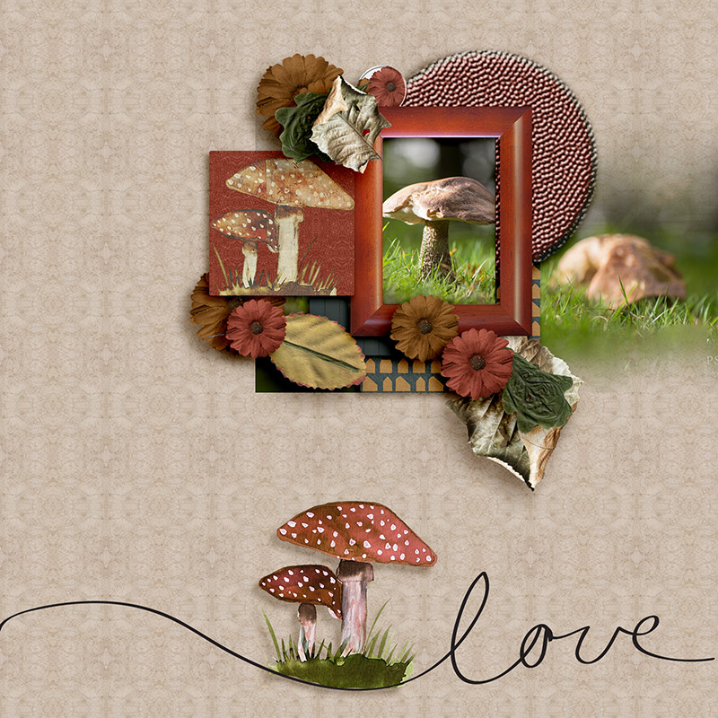 Love mushrooms