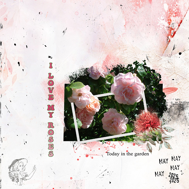 Love my Roses
