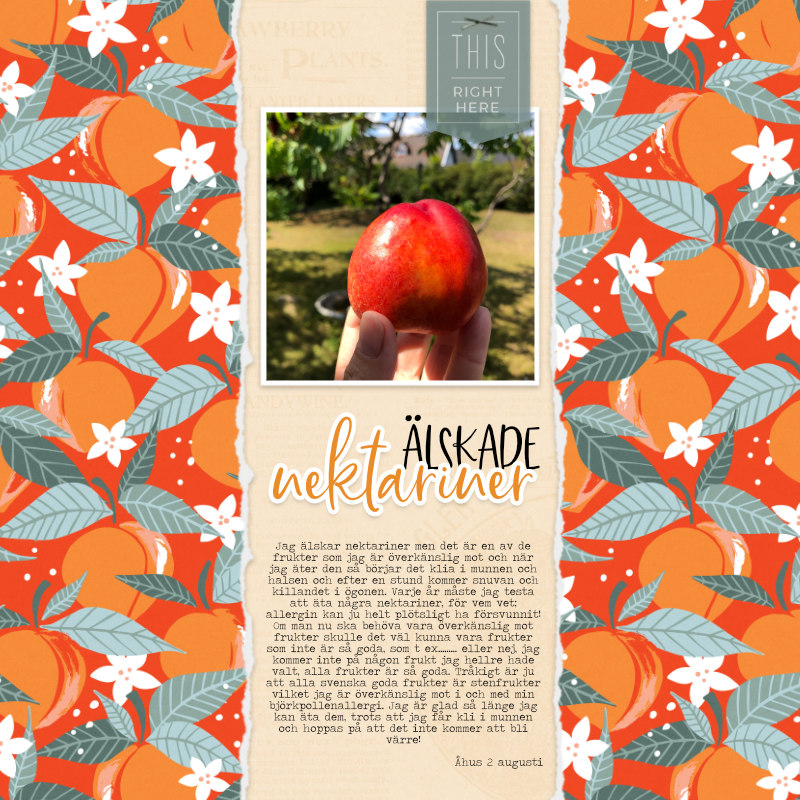 Love nectarines