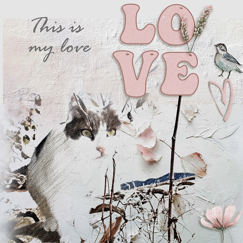 Love