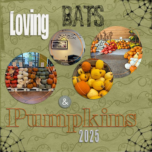 Loving Bats & Pumpkins 2025