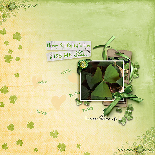 Lucky Shamrock