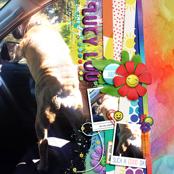 Lucy Lou the car dog
