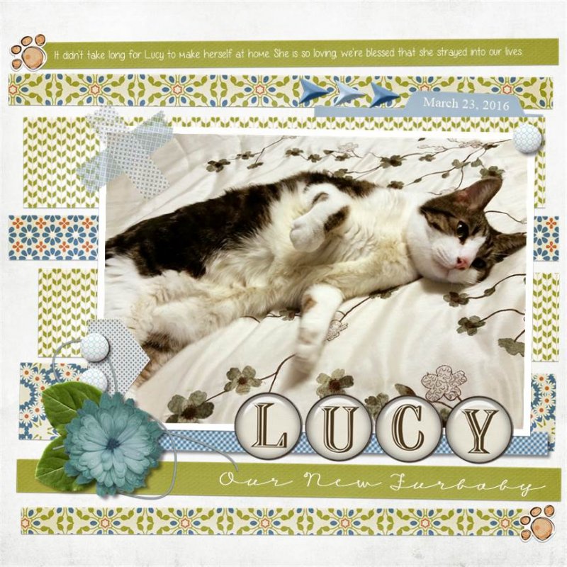 Lucy
