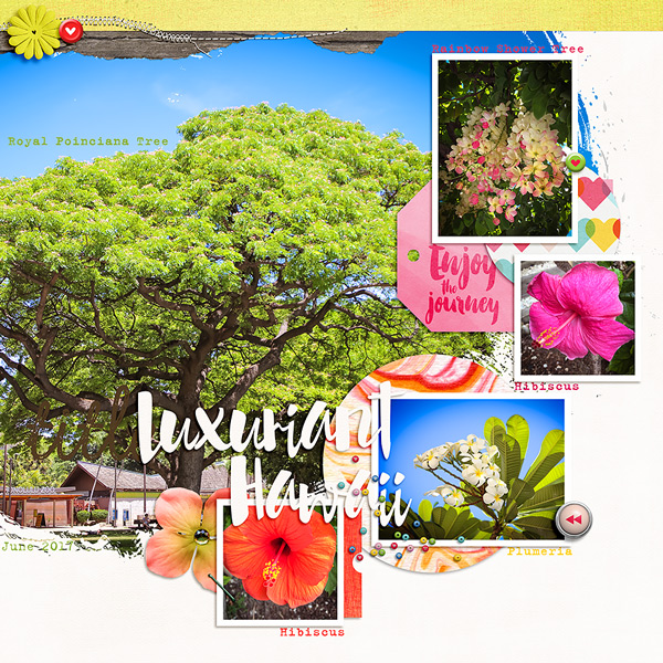 Luxuriant Hawaii