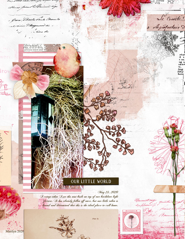 Lynn-Grieveson_2020-05_May_New_0529_Botanical-Mix_web