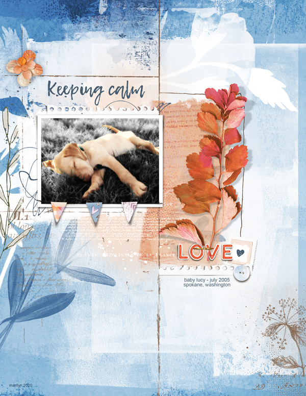 Lynn-Grieveson_2020-05_May_SOSN_0527_Mellow_Botanist-Brushes_web