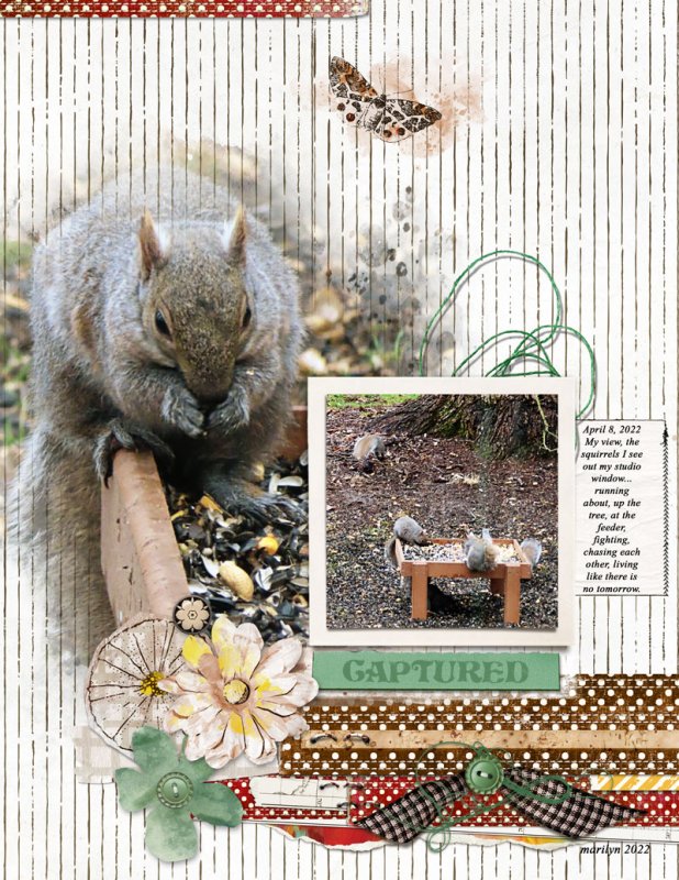 Lynn-Grieveson_2022-04_April_TLP_SOSN_0413_Worn-Strips2_Wild-World_web