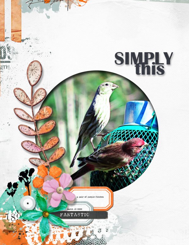 Lynn-Grieveson_2022-05_May_Challenge_Featured_Wild-&-Free_web