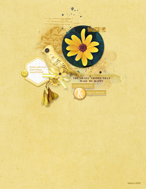 Lynn-Grieveson_2025-09_September_Yellow Challenge